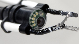 Oh Great, Surgeons Want To Shove These Robot Snakes Down Our Throats
